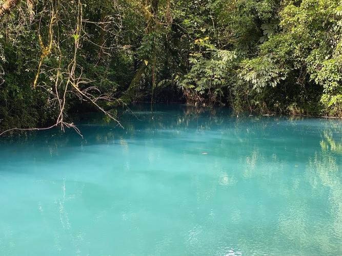 Disconnecting to Reconnect: My Adventure in Costa Rica’s Rainforest