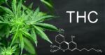 Nervousness Administration: THC vs. THCA, Which One Comes Out on High
